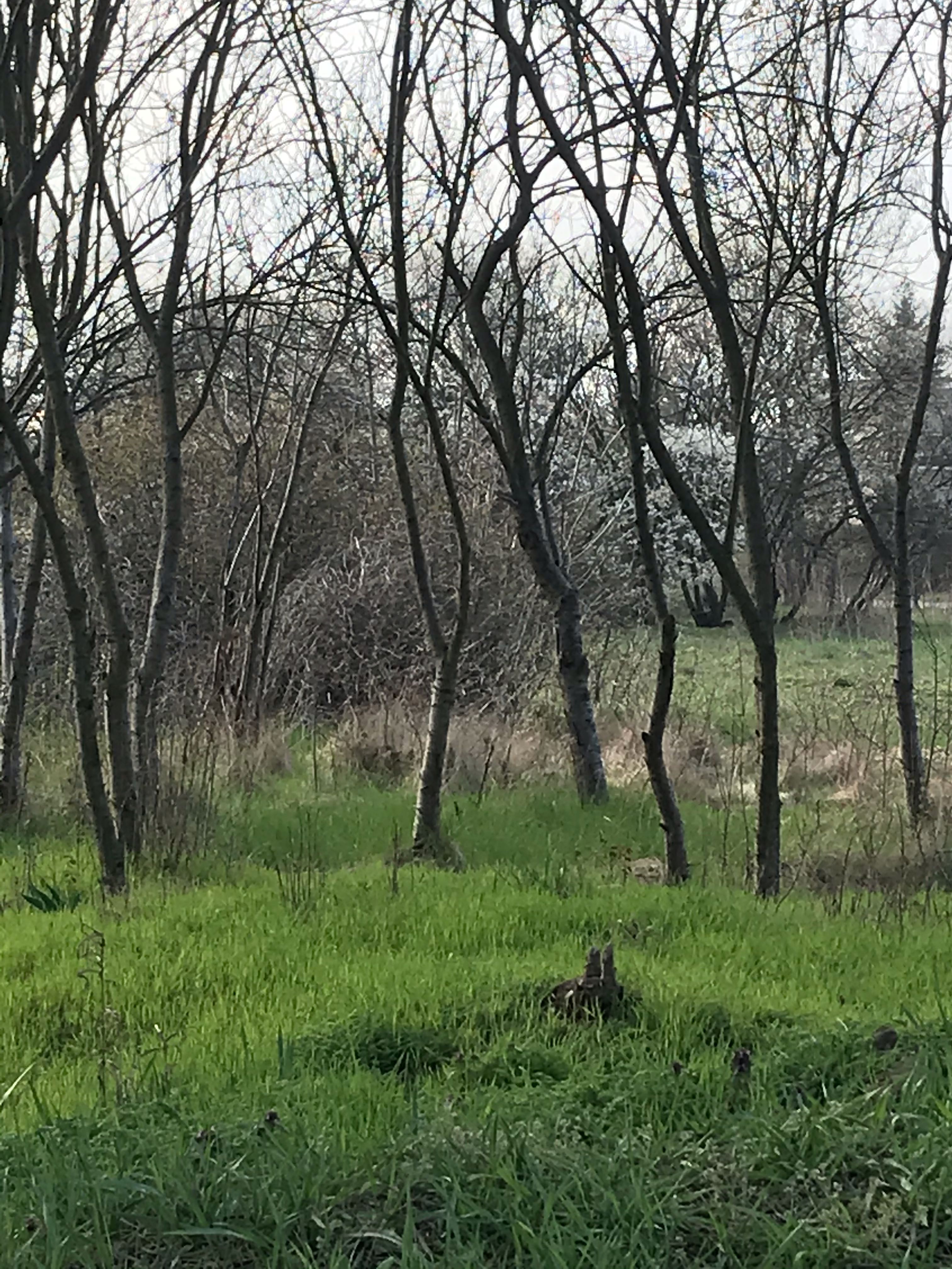 Maria Milewska 4.jpg